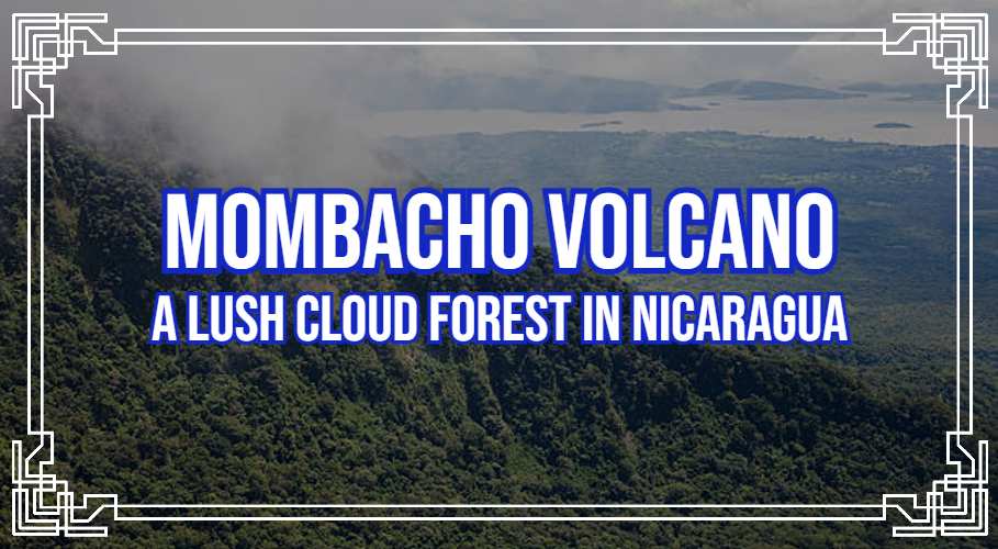 Mombacho Volcano: A Lush Cloud Forest in Nicaragua